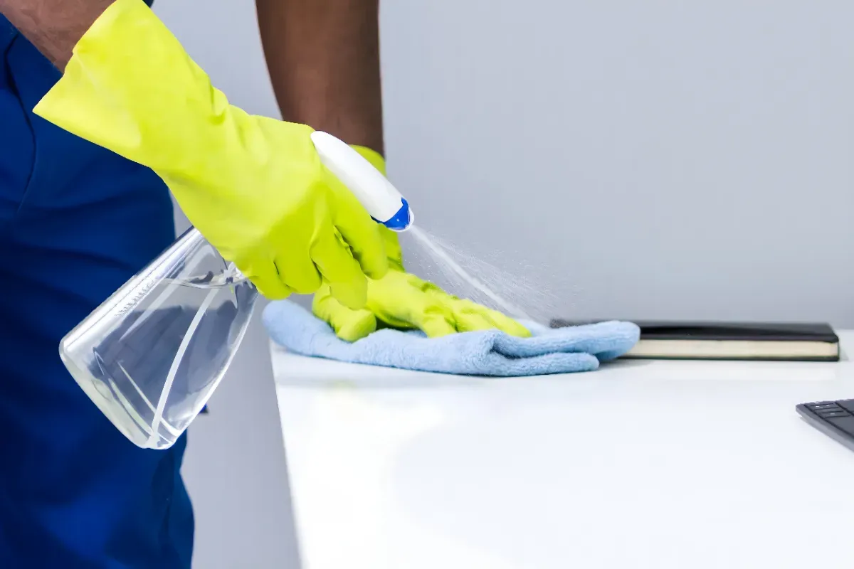 Kalk in der Toilette mit einer einfachen Zutat loswerden