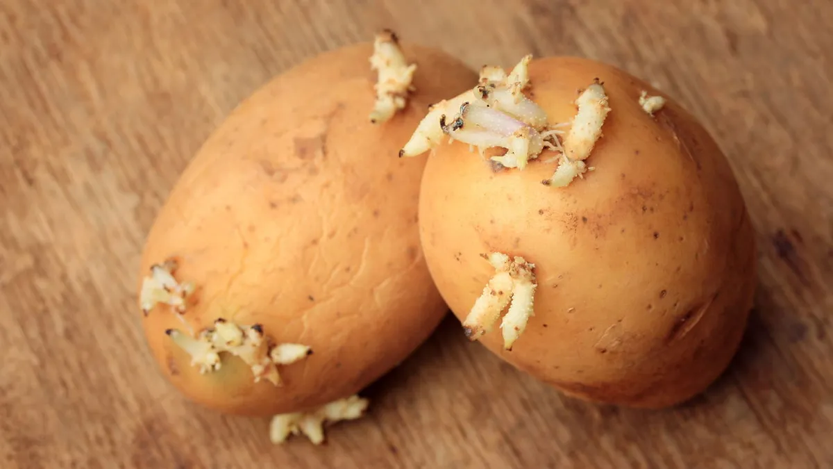 Kartoffeln länger frisch halten: eine einfache Gefriermethode im Test